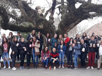 САРАДЊА ГИМНАЗИЈА У ВРБАСУ И СРБОБРАНУ НА ПРОЈЕКТУ „ДЕКУПАЖ ЗА ПОЧЕТНИКЕ“